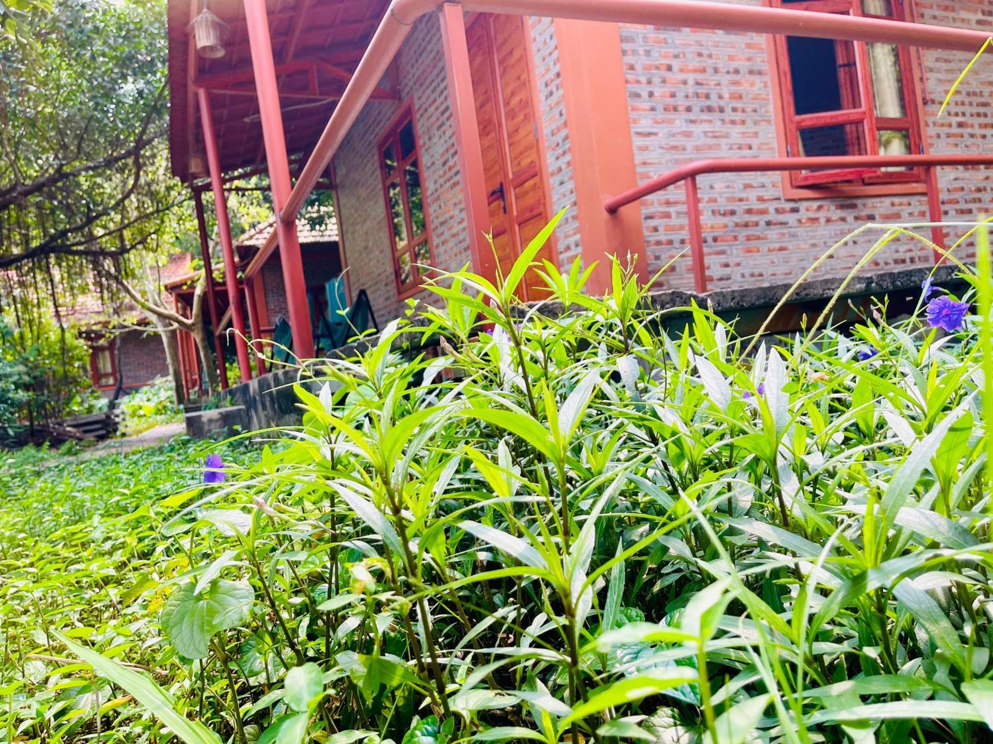 Trang An Lotus Lake Homestay 宁平 外观 照片