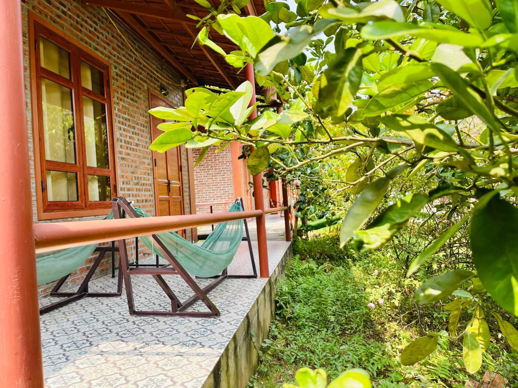 Trang An Lotus Lake Homestay 宁平 外观 照片