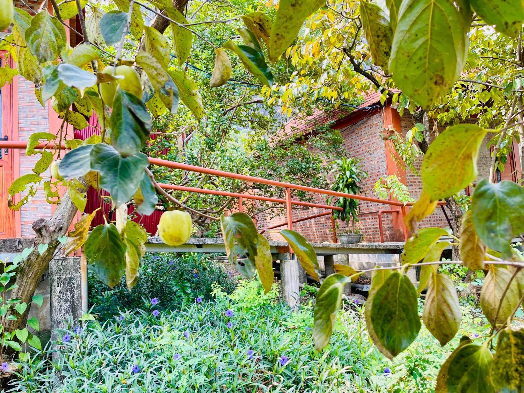 Trang An Lotus Lake Homestay 宁平 外观 照片