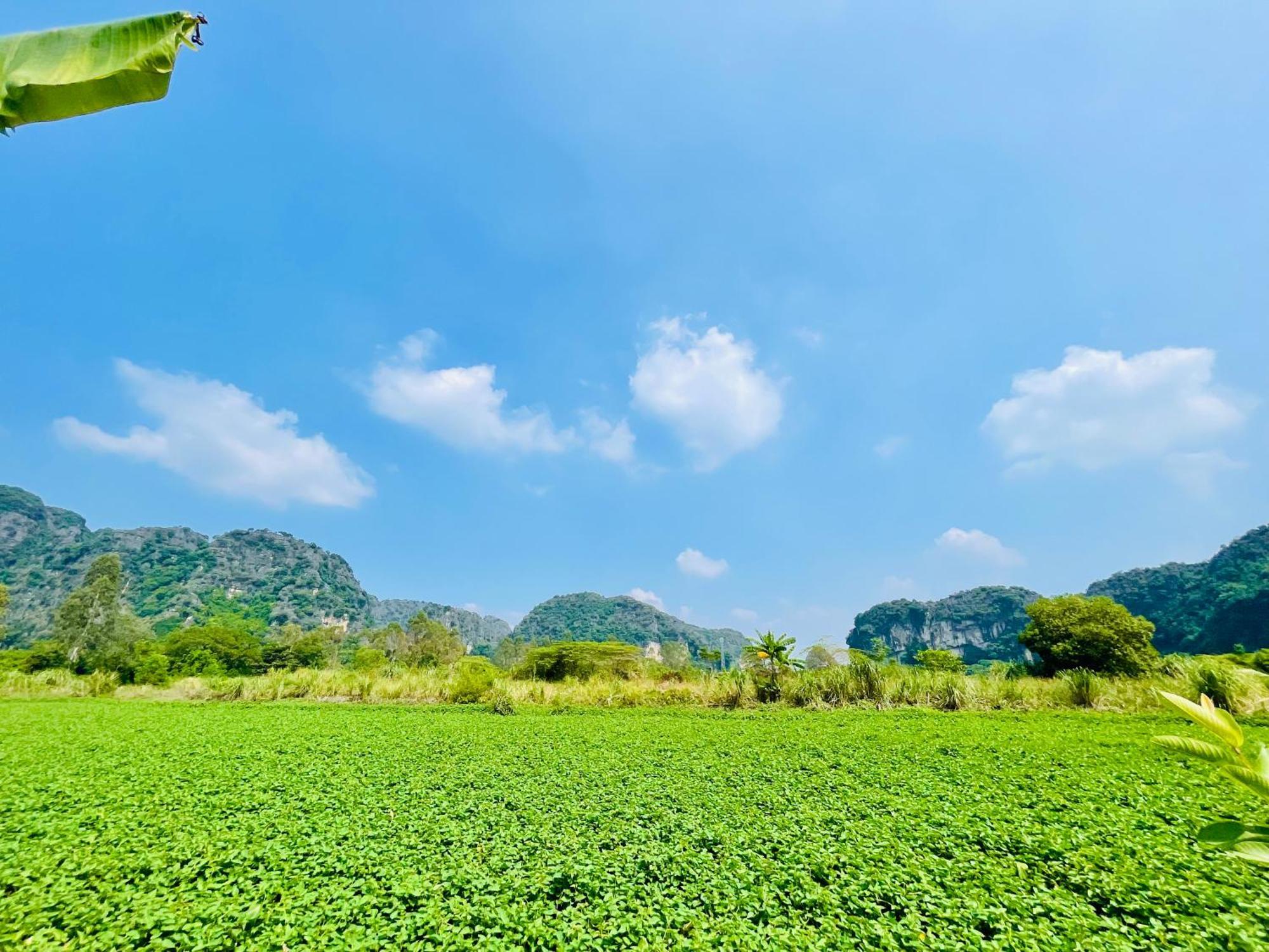 Trang An Lotus Lake Homestay 宁平 外观 照片