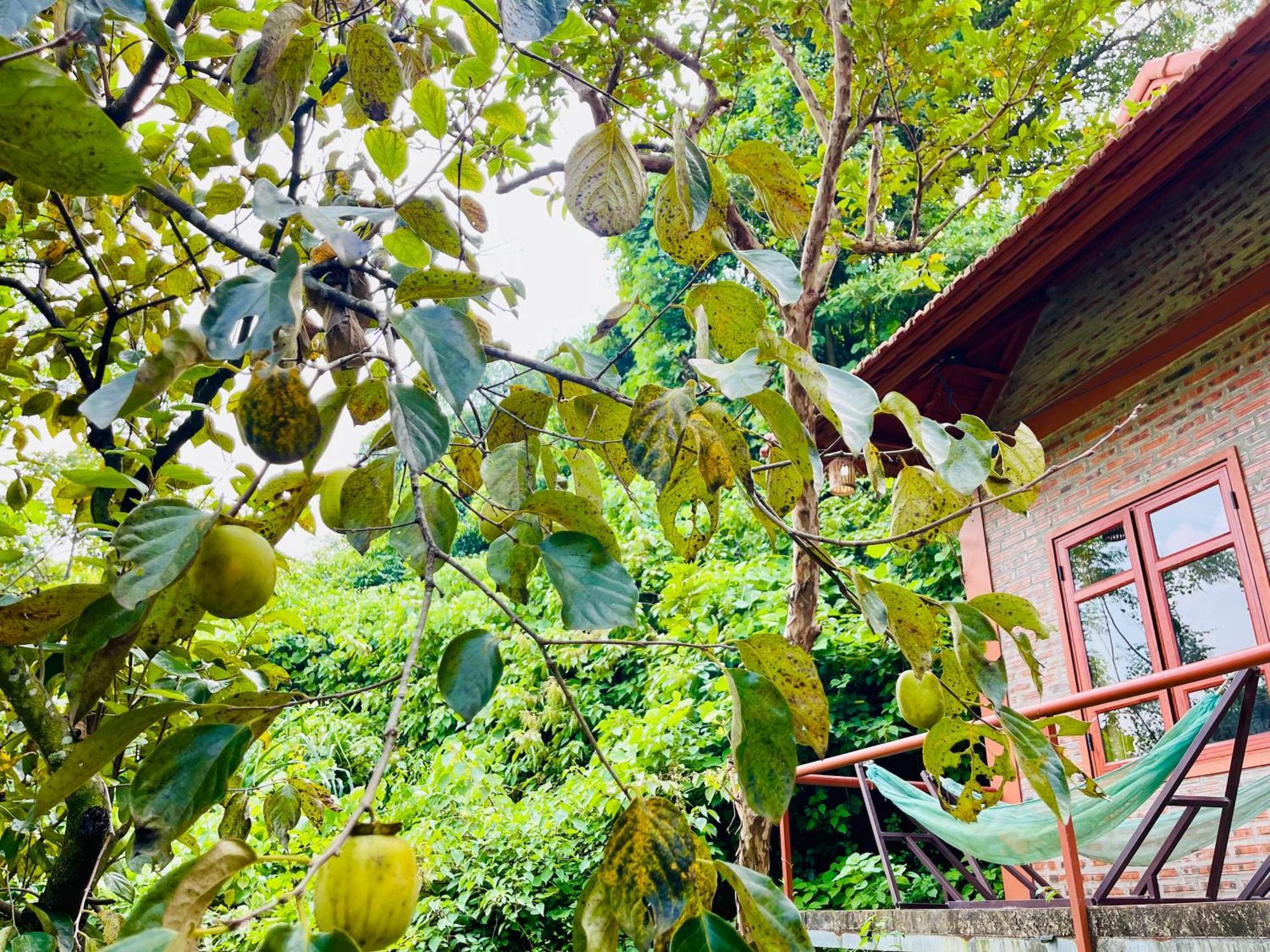 Trang An Lotus Lake Homestay 宁平 外观 照片