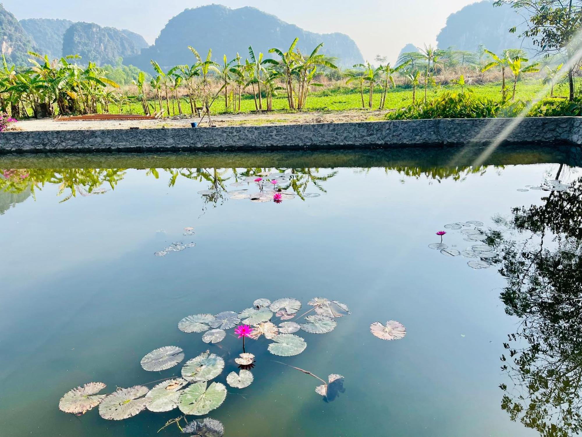 Trang An Lotus Lake Homestay 宁平 外观 照片